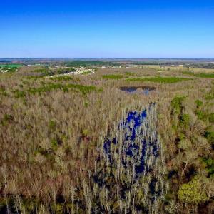 Photo of UNDER CONTRACT!  115 Acres of Hunting Land For Sale in Wilson County NC!