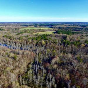 Photo of UNDER CONTRACT!  115 Acres of Hunting Land For Sale in Wilson County NC!