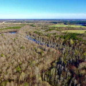 Photo of UNDER CONTRACT!  115 Acres of Hunting Land For Sale in Wilson County NC!