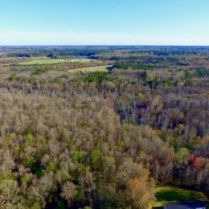 Photo of UNDER CONTRACT!  115 Acres of Hunting Land For Sale in Wilson County NC!