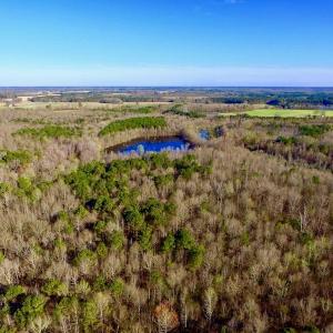 Photo of UNDER CONTRACT!  115 Acres of Hunting Land For Sale in Wilson County NC!