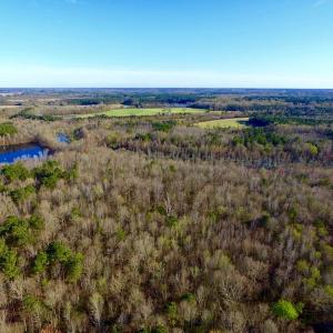 Photo of UNDER CONTRACT!  115 Acres of Hunting Land For Sale in Wilson County NC!