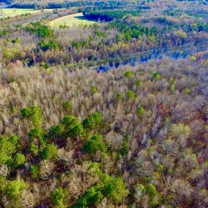 Photo of UNDER CONTRACT!  115 Acres of Hunting Land For Sale in Wilson County NC!