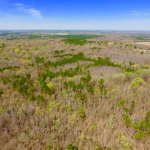Photo of UNDER CONTRACT!  115 Acres of Hunting Land For Sale in Wilson County NC!