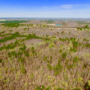 Photo of UNDER CONTRACT!  115 Acres of Hunting Land For Sale in Wilson County NC!