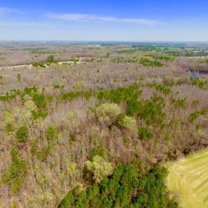 Photo of UNDER CONTRACT!  115 Acres of Hunting Land For Sale in Wilson County NC!