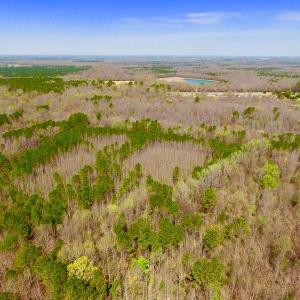 Photo of UNDER CONTRACT!  115 Acres of Hunting Land For Sale in Wilson County NC!