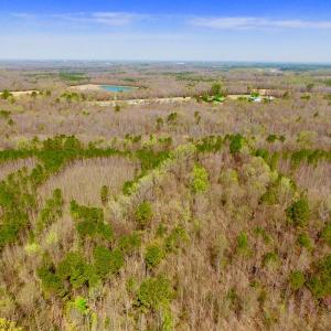 Photo of UNDER CONTRACT!  115 Acres of Hunting Land For Sale in Wilson County NC!