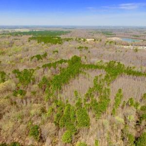 Photo of UNDER CONTRACT!  115 Acres of Hunting Land For Sale in Wilson County NC!