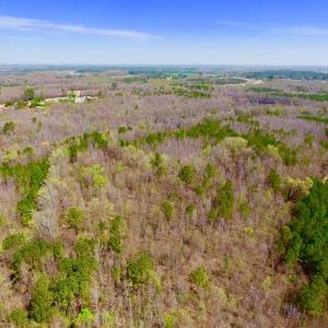 Photo of UNDER CONTRACT!  115 Acres of Hunting Land For Sale in Wilson County NC!