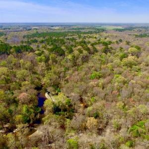 Photo of UNDER CONTRACT!  115 Acres of Hunting Land For Sale in Wilson County NC!