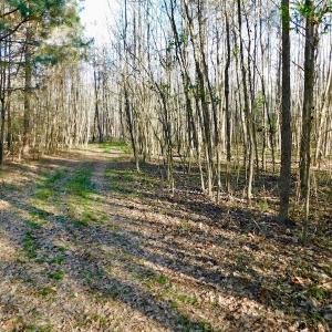 Photo of UNDER CONTRACT!  115 Acres of Hunting Land For Sale in Wilson County NC!