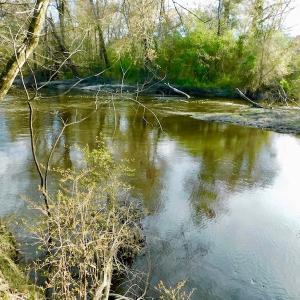 Photo of UNDER CONTRACT!  115 Acres of Hunting Land For Sale in Wilson County NC!
