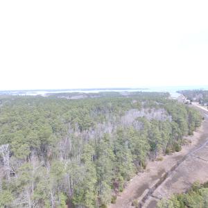 Photo of UNDER CONTRACT!  16 Acres of Hunting and Investment Land for Sale in Gloucester County VA!