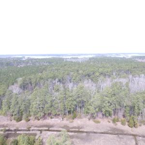 Photo of UNDER CONTRACT!  16 Acres of Hunting and Investment Land for Sale in Gloucester County VA!