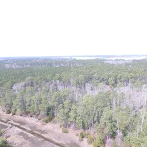 Photo of UNDER CONTRACT!  16 Acres of Hunting and Investment Land for Sale in Gloucester County VA!
