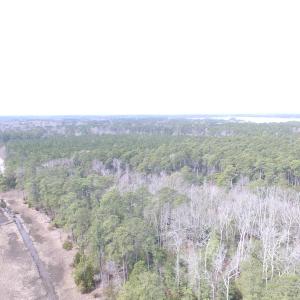 Photo of UNDER CONTRACT!  16 Acres of Hunting and Investment Land for Sale in Gloucester County VA!