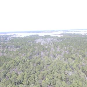 Photo of UNDER CONTRACT!  16 Acres of Hunting and Investment Land for Sale in Gloucester County VA!