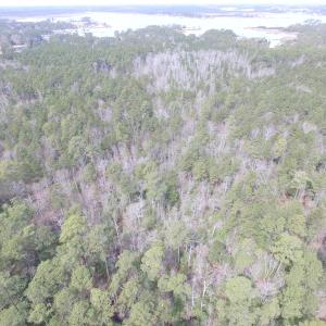 Photo of UNDER CONTRACT!  16 Acres of Hunting and Investment Land for Sale in Gloucester County VA!