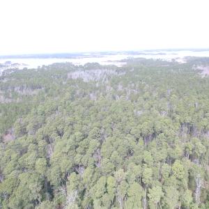 Photo of UNDER CONTRACT!  16 Acres of Hunting and Investment Land for Sale in Gloucester County VA!