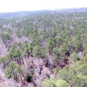 Photo of UNDER CONTRACT!  31 Acres of Hunting & Investment Land for Sale in Gloucester County VA!