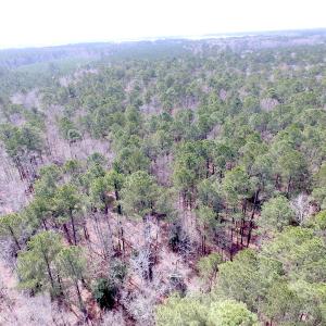 Photo of UNDER CONTRACT!  31 Acres of Hunting & Investment Land for Sale in Gloucester County VA!