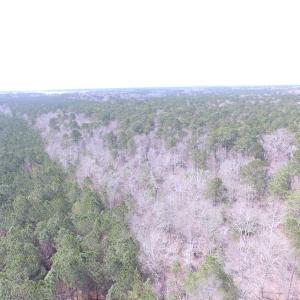 Photo of UNDER CONTRACT!  31 Acres of Hunting & Investment Land for Sale in Gloucester County VA!