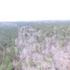 Photo of UNDER CONTRACT!  31 Acres of Hunting & Investment Land for Sale in Gloucester County VA!