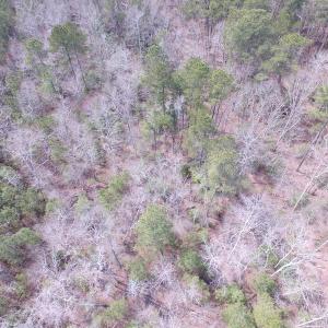 Photo of UNDER CONTRACT!  31 Acres of Hunting & Investment Land for Sale in Gloucester County VA!