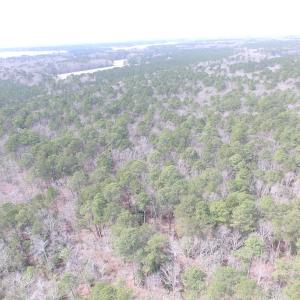 Photo of UNDER CONTRACT!  31 Acres of Hunting & Investment Land for Sale in Gloucester County VA!