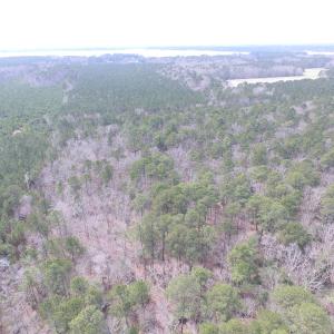 Photo of UNDER CONTRACT!  31 Acres of Hunting & Investment Land for Sale in Gloucester County VA!