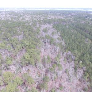 Photo of UNDER CONTRACT!  31 Acres of Hunting & Investment Land for Sale in Gloucester County VA!