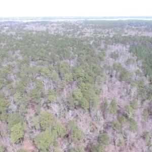 Photo of UNDER CONTRACT!  31 Acres of Hunting & Investment Land for Sale in Gloucester County VA!
