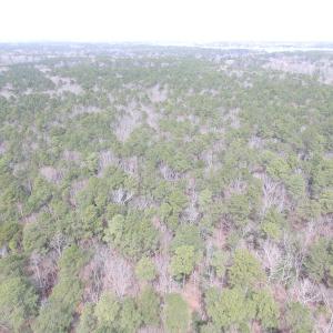 Photo of UNDER CONTRACT!  31 Acres of Hunting & Investment Land for Sale in Gloucester County VA!