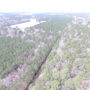 Photo of UNDER CONTRACT!  31 Acres of Hunting & Investment Land for Sale in Gloucester County VA!
