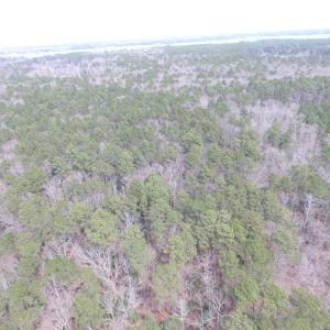 Photo of UNDER CONTRACT!  31 Acres of Hunting & Investment Land for Sale in Gloucester County VA!
