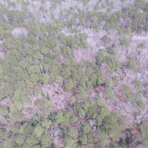 Photo of UNDER CONTRACT!  31 Acres of Hunting & Investment Land for Sale in Gloucester County VA!