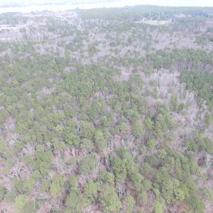 Photo of UNDER CONTRACT!  31 Acres of Hunting & Investment Land for Sale in Gloucester County VA!