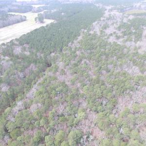 Photo of UNDER CONTRACT!  31 Acres of Hunting & Investment Land for Sale in Gloucester County VA!