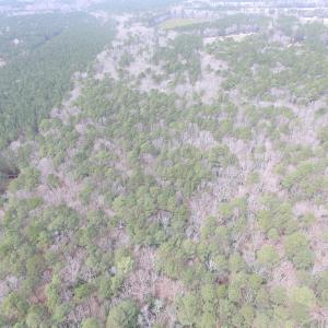 Photo of UNDER CONTRACT!  31 Acres of Hunting & Investment Land for Sale in Gloucester County VA!