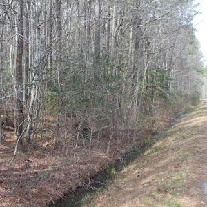 Photo of UNDER CONTRACT!  31 Acres of Hunting & Investment Land for Sale in Gloucester County VA!