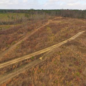 Photo of UNDER CONTRACT!  3.72 Acres of Rural Residential or Recreational Land For Sale in Dinwiddie County VA!