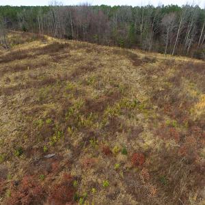 Photo of UNDER CONTRACT!  3.72 Acres of Rural Residential or Recreational Land For Sale in Dinwiddie County VA!