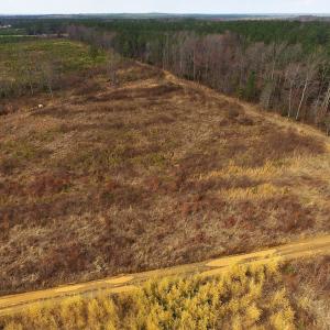 Photo of UNDER CONTRACT!  3.72 Acres of Rural Residential or Recreational Land For Sale in Dinwiddie County VA!