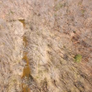 Photo of 72 Acres of Riverfront Pasture Land with Home For Sale in Buckingham County VA!