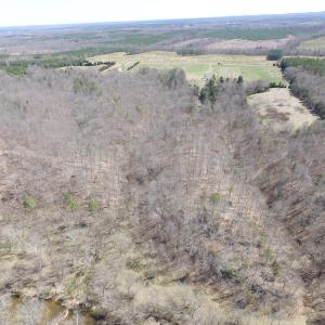 Photo of 72 Acres of Riverfront Pasture Land with Home For Sale in Buckingham County VA!