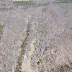 Photo of 72 Acres of Riverfront Pasture Land with Home For Sale in Buckingham County VA!
