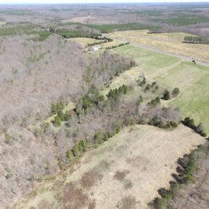 Photo of 72 Acres of Riverfront Pasture Land with Home For Sale in Buckingham County VA!