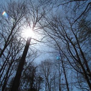 Photo of 72 Acres of Riverfront Pasture Land with Home For Sale in Buckingham County VA!