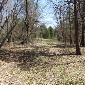 Photo of 72 Acres of Riverfront Pasture Land with Home For Sale in Buckingham County VA!